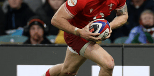 Rees calls for bigger men after England wipe out Wales