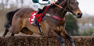 Grand National winner Venetia bids for Gold Cup glory