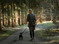 Dementia awareness walk at Beechenhurst, May 17