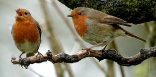 Gwent Green Grid secures £999K