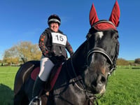 AI helps staff member win the Welsh Grand National