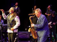 Experience "The Wonder of Stevie' live in Monmouth