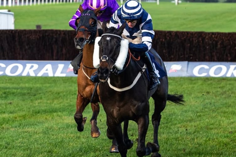 Jubilee Express came home second at Exeter. File photo: Chepstow Racecourse