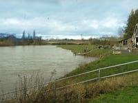 Onlookers tried to save young woman in River Wye tragedy 