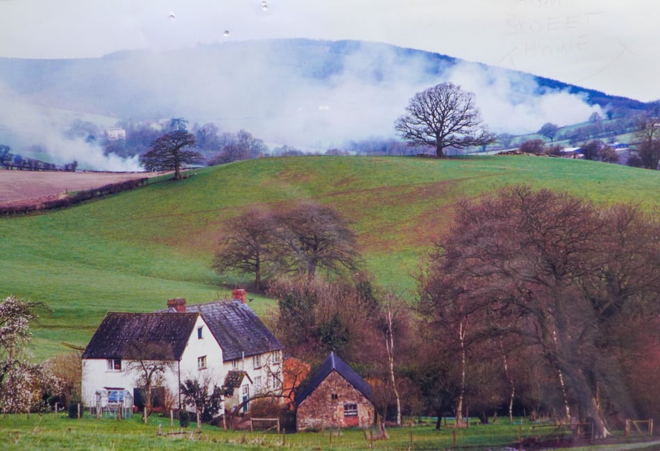 Remembering the horror of Foot and Mouth 25 years on