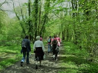 Sunday's walk in the Forest of Dean