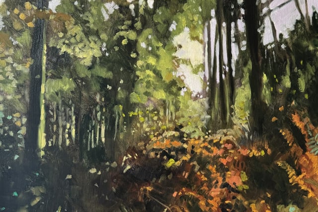An exhibition that explores the forested landscape in all its beauty