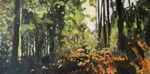 An exhibition that explores the forested landscape in all its beauty