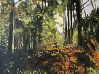 An exhibition that explores the forested landscape in all its beauty