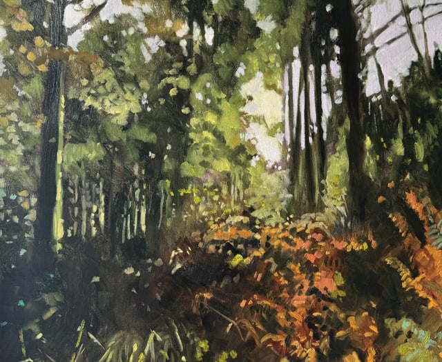 An exhibition that explores the forested landscape in all its beauty