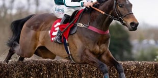 L'Homme Presse takes brave fifth in Gold Cup