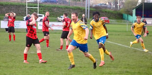 Cool hand Luke secures a point for Kingfishers