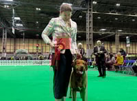 Thor triumphs with double win at Crufts after two-year break