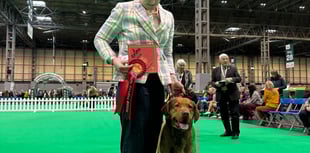 Thor triumphs with double win at Crufts after two-year break