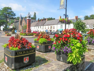 Usk Town Centre: Share Your Views on New Plans