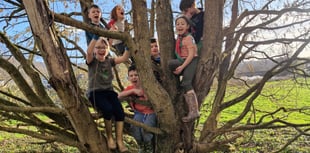 Scouts dig in for the community