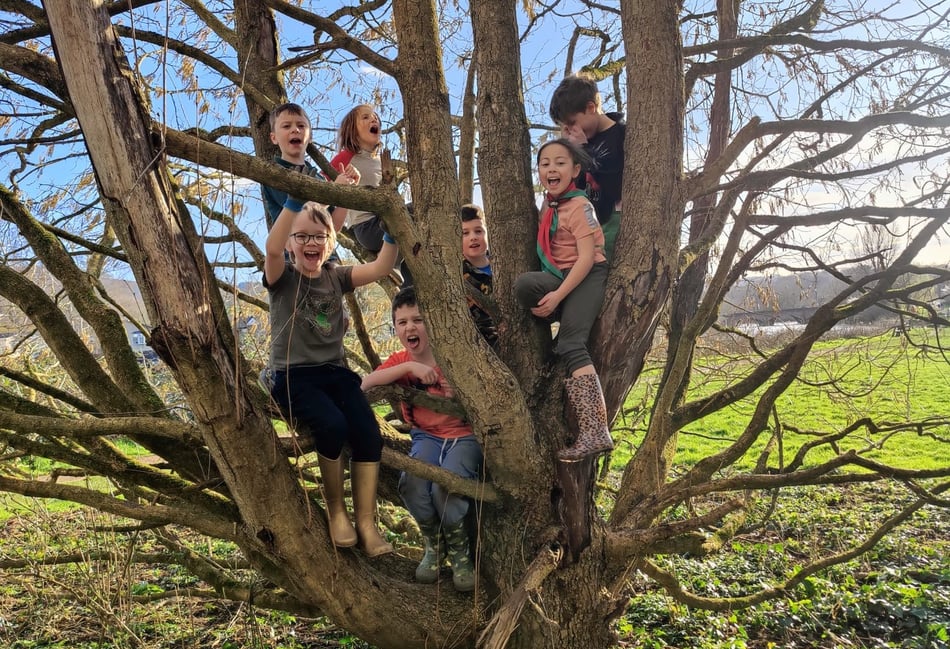 Scouts dig in for the community