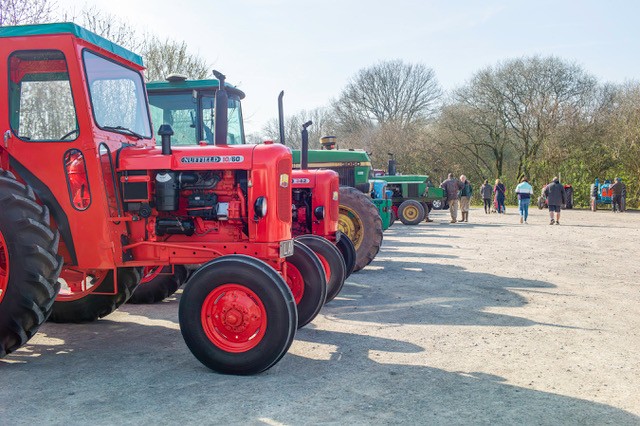 A line-up of vintage tractors ready to run