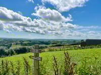 Welsh Tories slam Labour's rural policies