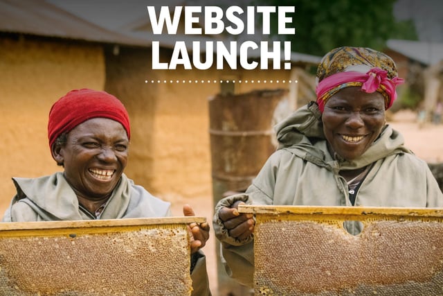 Bee charity launches new website to inspire and share

