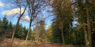 How public outcry stopped nuclear waste plan for Forest mines