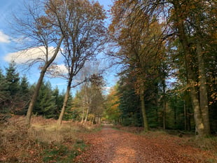 Nuclear waste plan for Dean mines scrapped in '50s