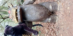 British big cats exhibition at Dean Heritage Centre