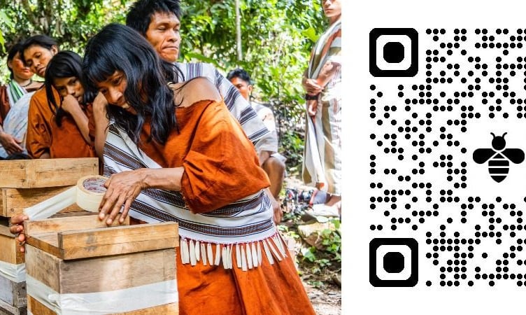 Saving the Amazon rainforest