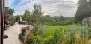 Private gardens open to the public next month