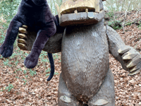 British big cats exhibition at Dean Heritage Centre