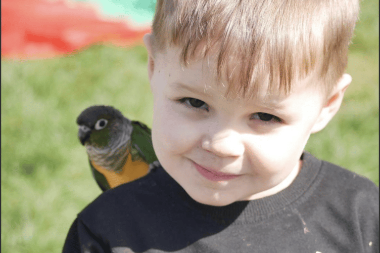 Parrots came to visit Mathern Day Nursery at their birthday celebration.