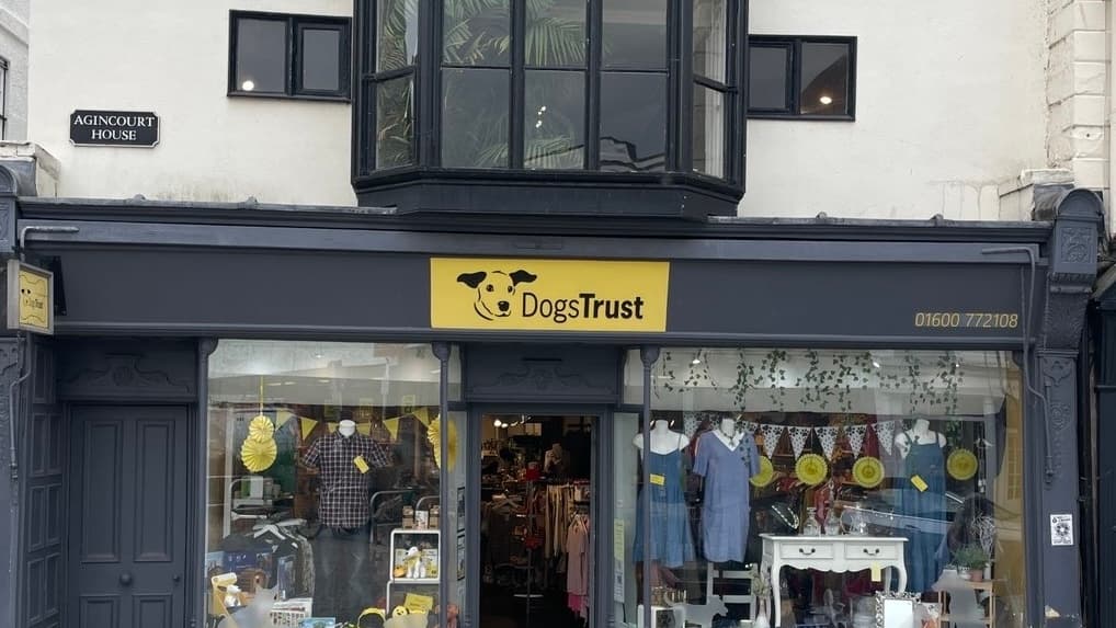 Dogs Trust Charity in Monmouth celebrates eight years with community ...