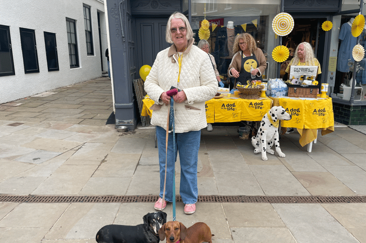 Kay Potts, long serving volunteer at Dogs Trust