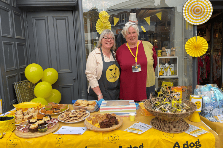 Volunteers at The Dogs Trust, with a lovely bakesale