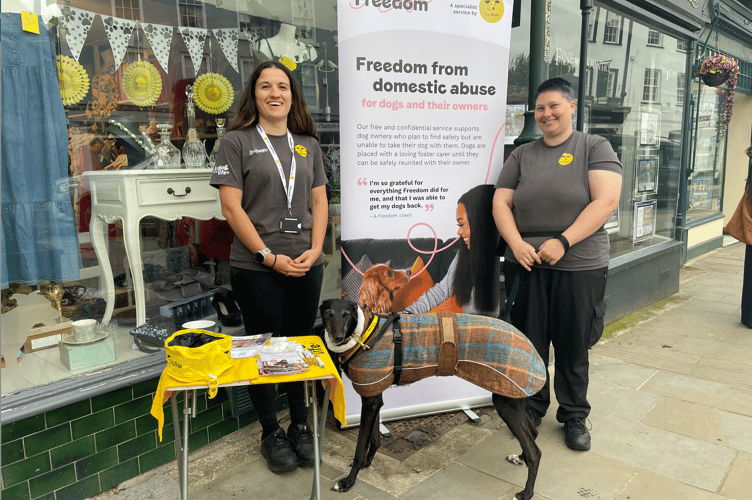 Cassie and Storm from Freedom project and fostering areas 