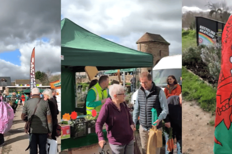The bridge markets are back