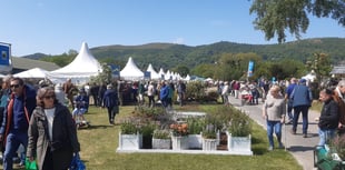 A preview of the Malvern Spring Show