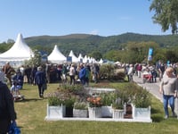 A preview of the Malvern Spring Show