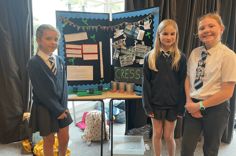 This group looked at whether liquids impact plant growth