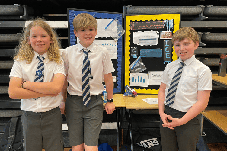 This group looked at how salt can affect the melting speed of ice.