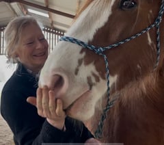 Horses healing humans in Mamhilad