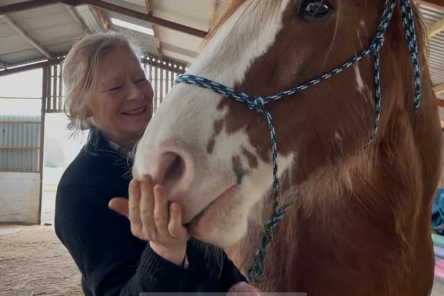 Horses healing humans in Mamhilad