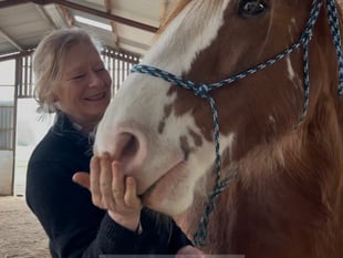 Horses healing humans in Mamhilad
