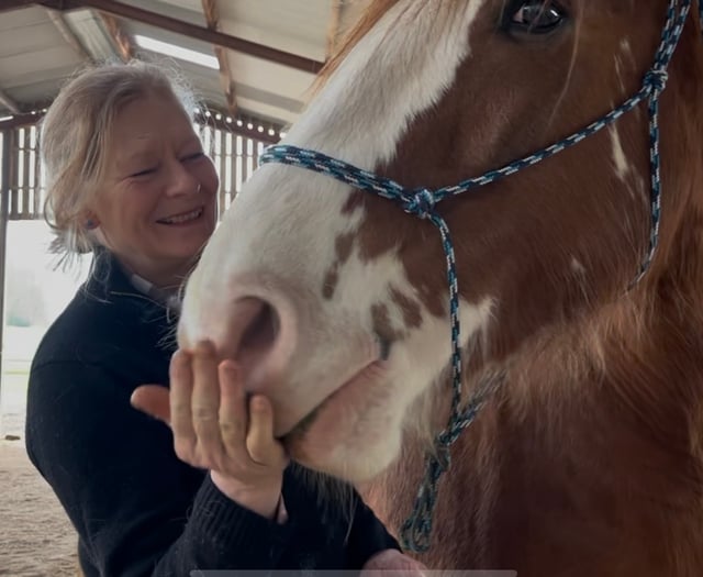 Horses healing humans in Mamhilad