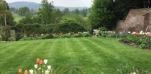 Garden scheme raises funds for NGS