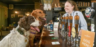 Apply for the best job: find dog-friendly pubs
