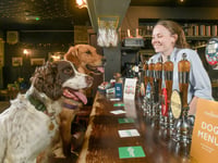 Apply for the best job: find dog-friendly pubs