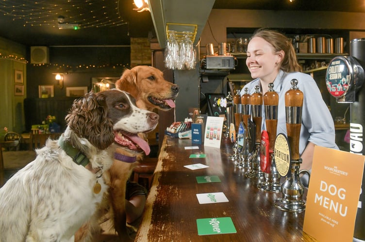  Landlady Maddy Daniels serves patient pups as The Foresters Arms, in Fordingbridge is crowned the UK's most dog-friendly pub by Rover.com..