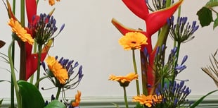 Floral society members see stunning displays