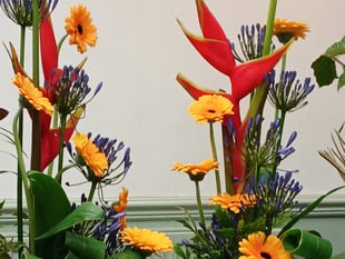 Floral society members see stunning displays